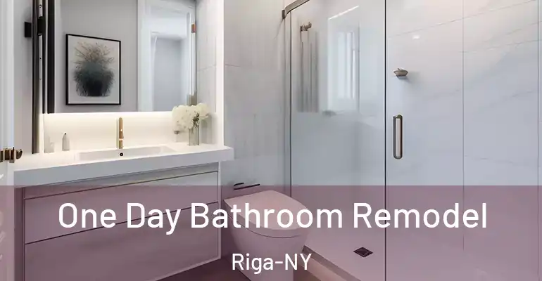 inner Bathroom imggen One Day Bathroom Remodel Riga-NY