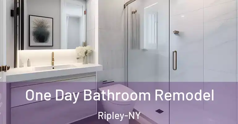 inner Bathroom imggen One Day Bathroom Remodel Ripley-NY