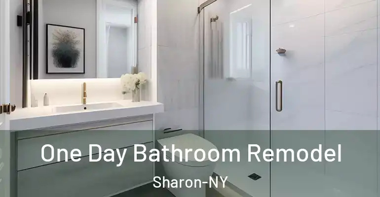inner Bathroom imggen One Day Bathroom Remodel Sharon-NY