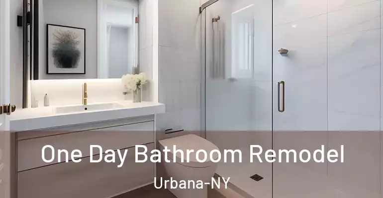 inner Bathroom imggen One Day Bathroom Remodel Urbana-NY