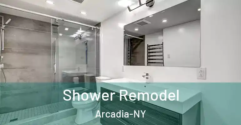 inner Bathroom imggen Shower Remodel Arcadia-NY
