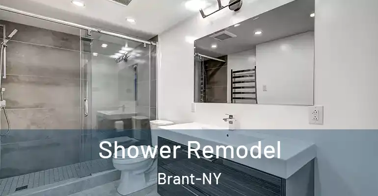 inner Bathroom imggen Shower Remodel Brant-NY