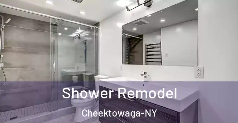 inner Bathroom imggen Shower Remodel Cheektowaga-NY