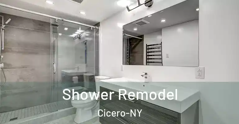 inner Bathroom imggen Shower Remodel Cicero-NY