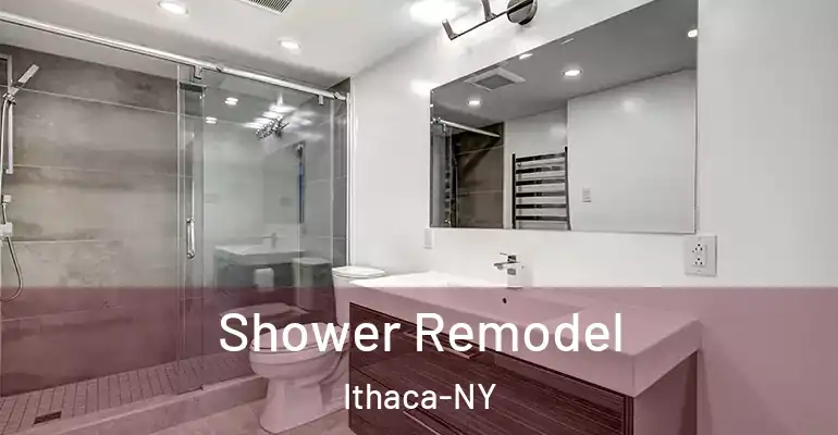 inner Bathroom imggen Shower Remodel Ithaca-NY
