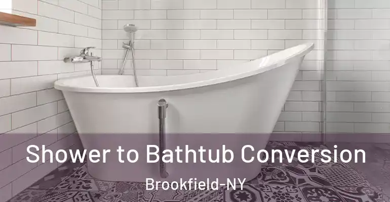 inner Bathroom imggen Shower to Bathtub Conversion Brookfield-NY