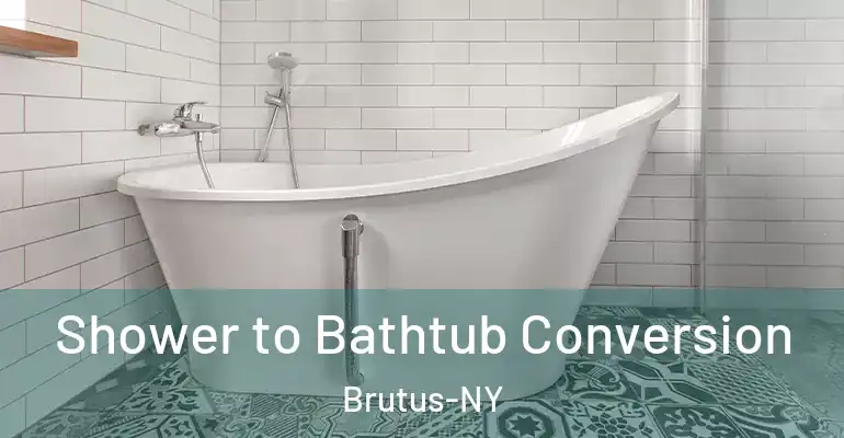 inner Bathroom imggen Shower to Bathtub Conversion Brutus-NY