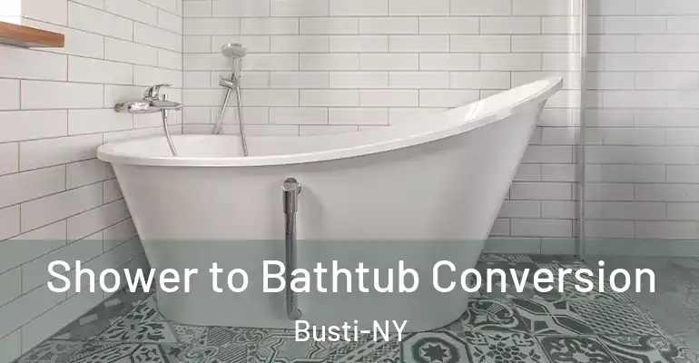 inner Bathroom imggen Shower to Bathtub Conversion Busti-NY