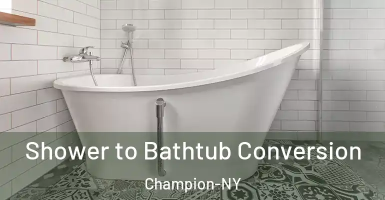 inner Bathroom imggen Shower to Bathtub Conversion Champion-NY