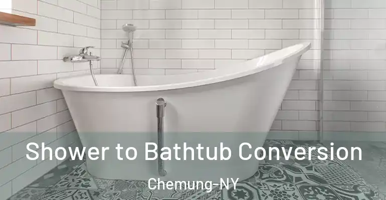 inner Bathroom imggen Shower to Bathtub Conversion Chemung-NY