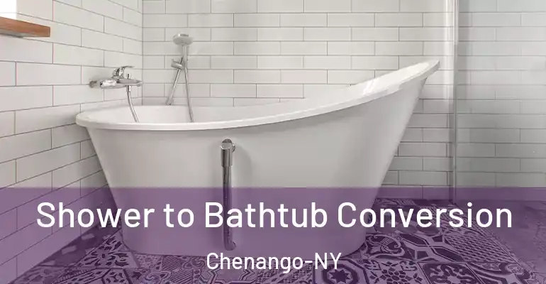 inner Bathroom imggen Shower to Bathtub Conversion Chenango-NY