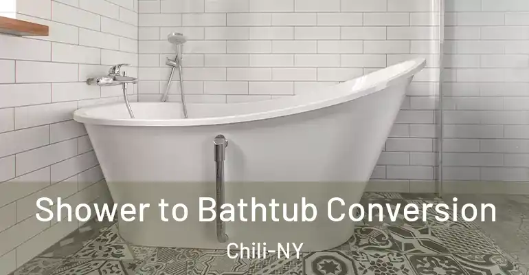 inner Bathroom imggen Shower to Bathtub Conversion Chili-NY