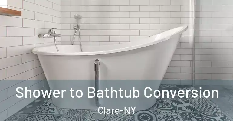 inner Bathroom imggen Shower to Bathtub Conversion Clare-NY
