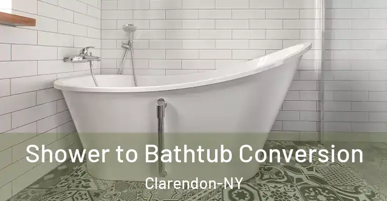 inner Bathroom imggen Shower to Bathtub Conversion Clarendon-NY