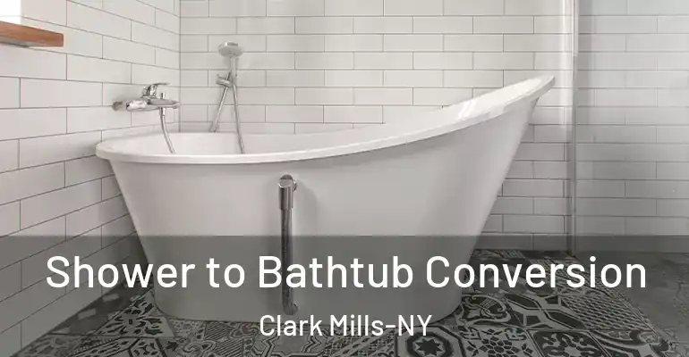 inner Bathroom imggen Shower to Bathtub Conversion Clark Mills-NY