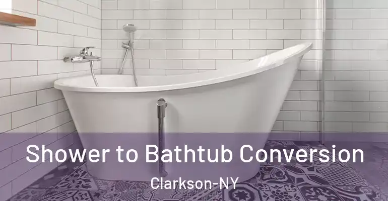 inner Bathroom imggen Shower to Bathtub Conversion Clarkson-NY