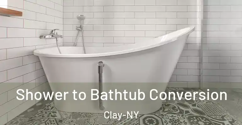 inner Bathroom imggen Shower to Bathtub Conversion Clay-NY