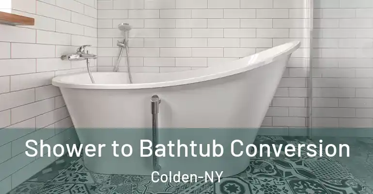 inner Bathroom imggen Shower to Bathtub Conversion Colden-NY