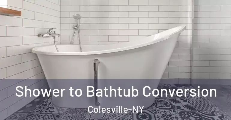 inner Bathroom imggen Shower to Bathtub Conversion Colesville-NY