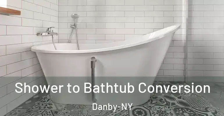 inner Bathroom imggen Shower to Bathtub Conversion Danby-NY