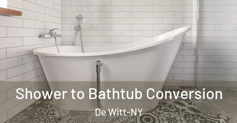 inner Bathroom imggen Shower to Bathtub Conversion De Witt-NY