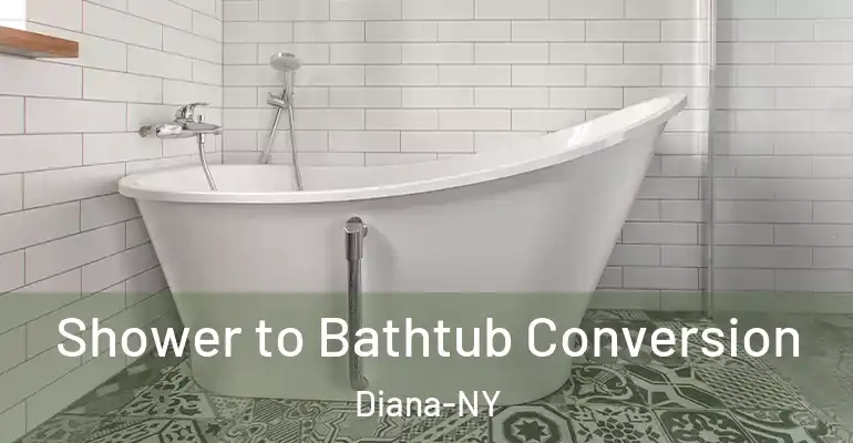 inner Bathroom imggen Shower to Bathtub Conversion Diana-NY