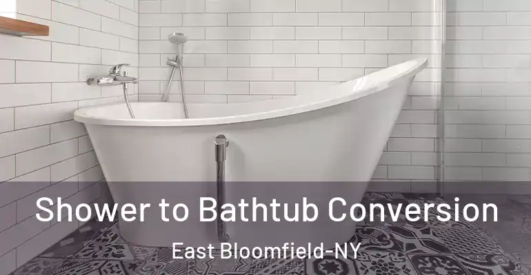 inner Bathroom imggen Shower to Bathtub Conversion East Bloomfield-NY