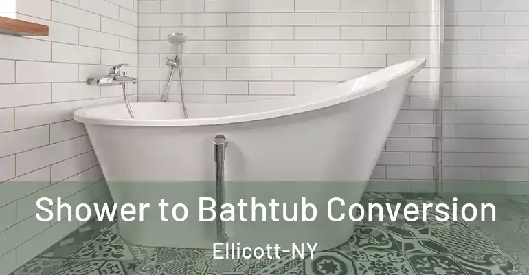 inner Bathroom imggen Shower to Bathtub Conversion Ellicott-NY