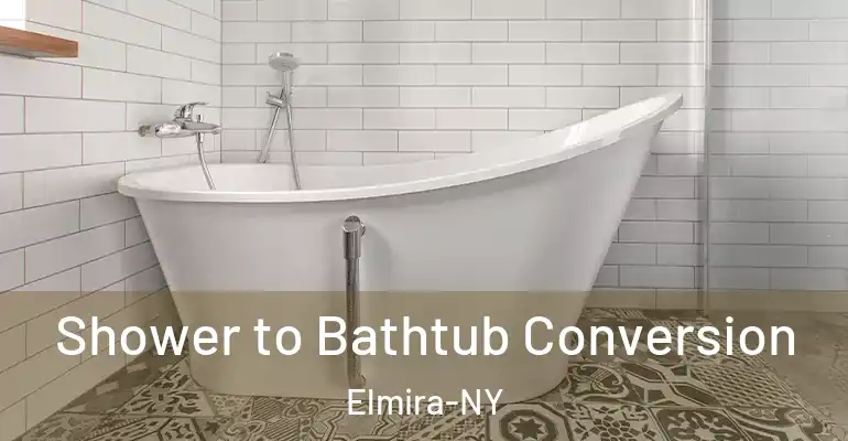 inner Bathroom imggen Shower to Bathtub Conversion Elmira-NY