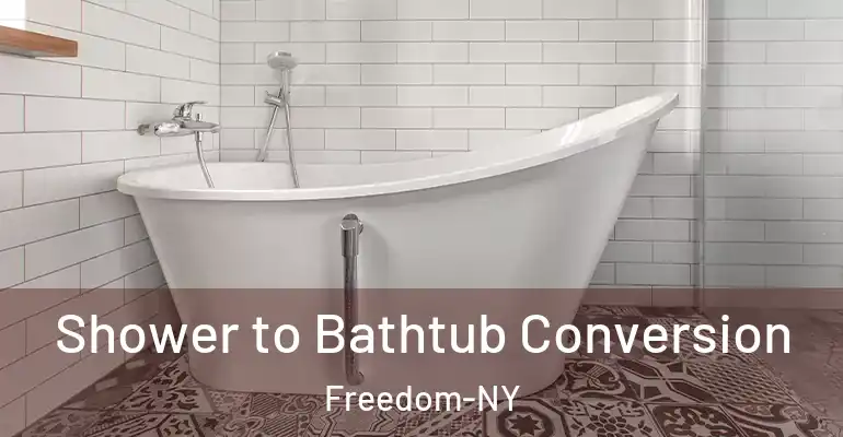 inner Bathroom imggen Shower to Bathtub Conversion Freedom-NY