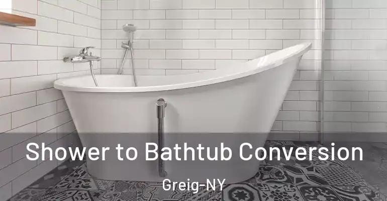 inner Bathroom imggen Shower to Bathtub Conversion Greig-NY
