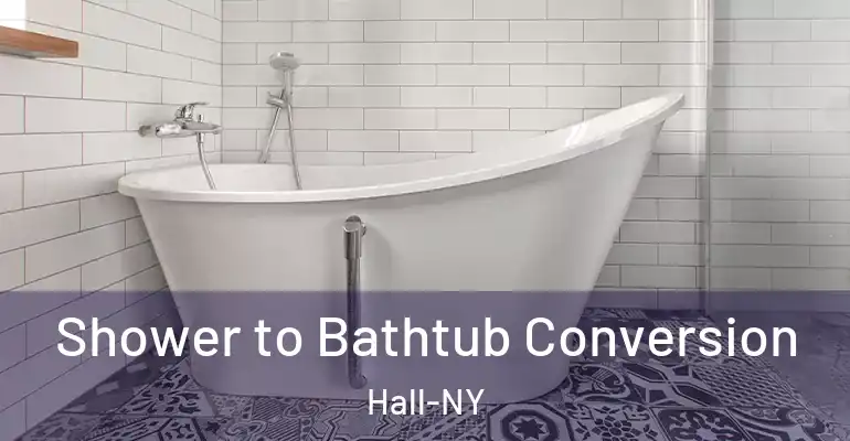 inner Bathroom imggen Shower to Bathtub Conversion Hall-NY