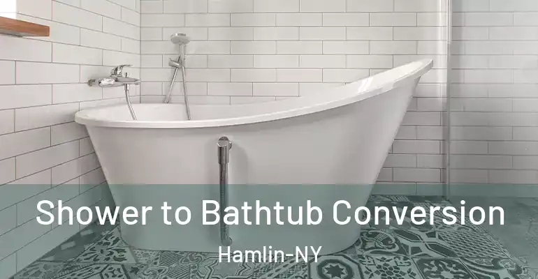 inner Bathroom imggen Shower to Bathtub Conversion Hamlin-NY
