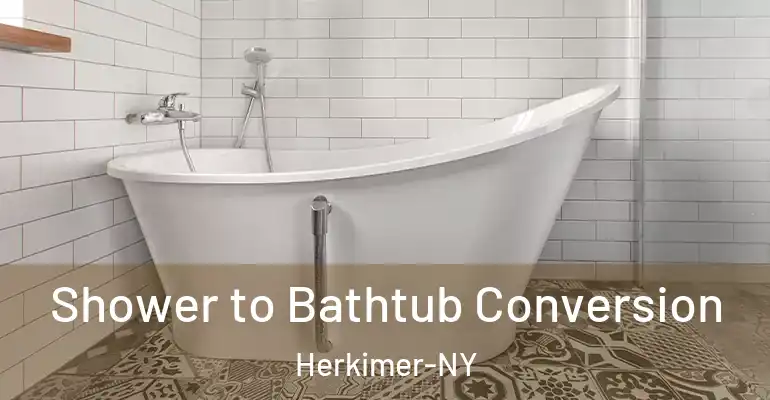 inner Bathroom imggen Shower to Bathtub Conversion Herkimer-NY