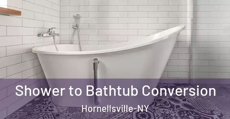 inner Bathroom imggen Shower to Bathtub Conversion Hornellsville-NY