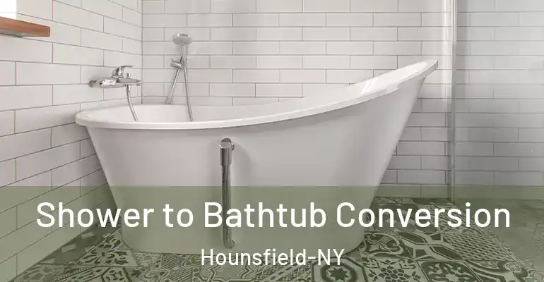 inner Bathroom imggen Shower to Bathtub Conversion Hounsfield-NY