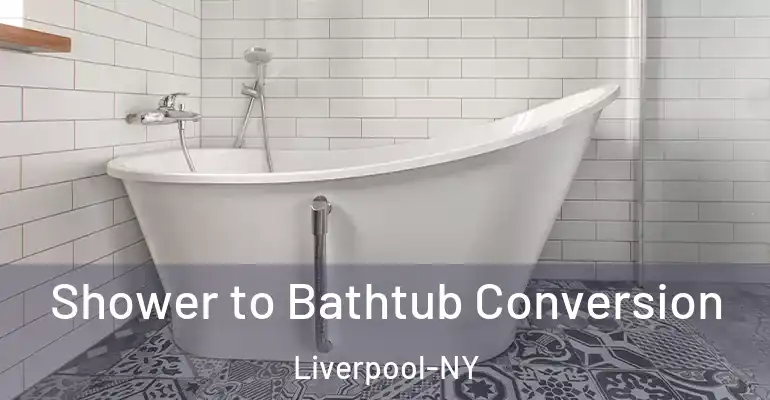 inner Bathroom imggen Shower to Bathtub Conversion Liverpool-NY