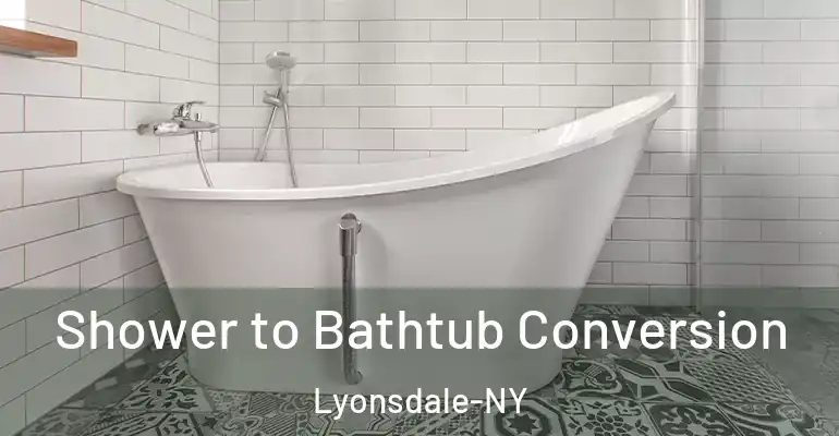 inner Bathroom imggen Shower to Bathtub Conversion Lyonsdale-NY