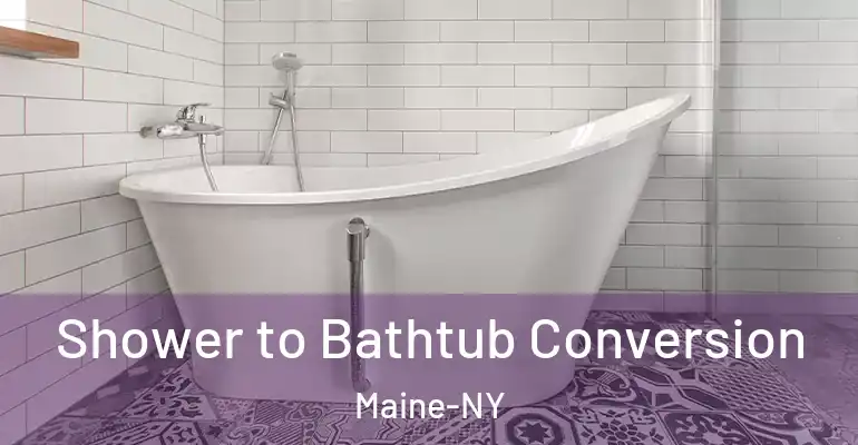 inner Bathroom imggen Shower to Bathtub Conversion Maine-NY