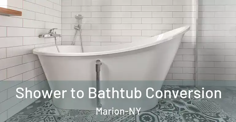 inner Bathroom imggen Shower to Bathtub Conversion Marion-NY