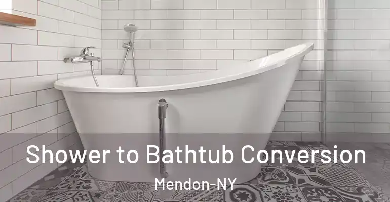 inner Bathroom imggen Shower to Bathtub Conversion Mendon-NY