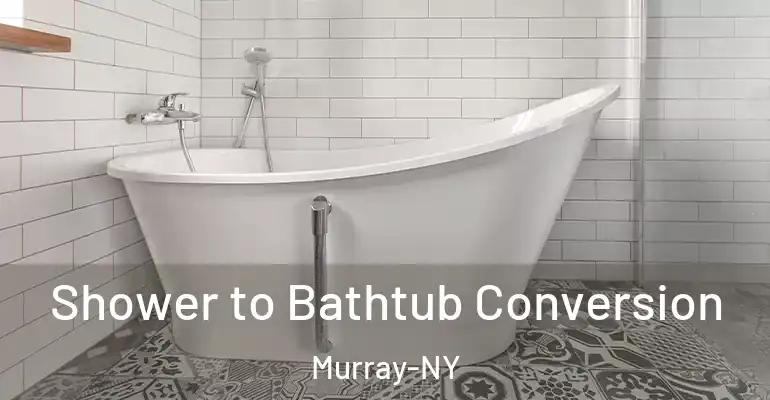 inner Bathroom imggen Shower to Bathtub Conversion Murray-NY