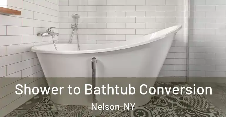 inner Bathroom imggen Shower to Bathtub Conversion Nelson-NY