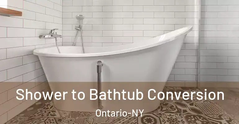 inner Bathroom imggen Shower to Bathtub Conversion Ontario-NY