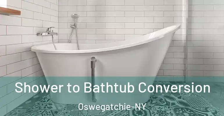 inner Bathroom imggen Shower to Bathtub Conversion Oswegatchie-NY