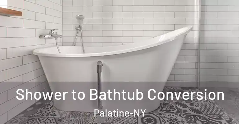 inner Bathroom imggen Shower to Bathtub Conversion Palatine-NY