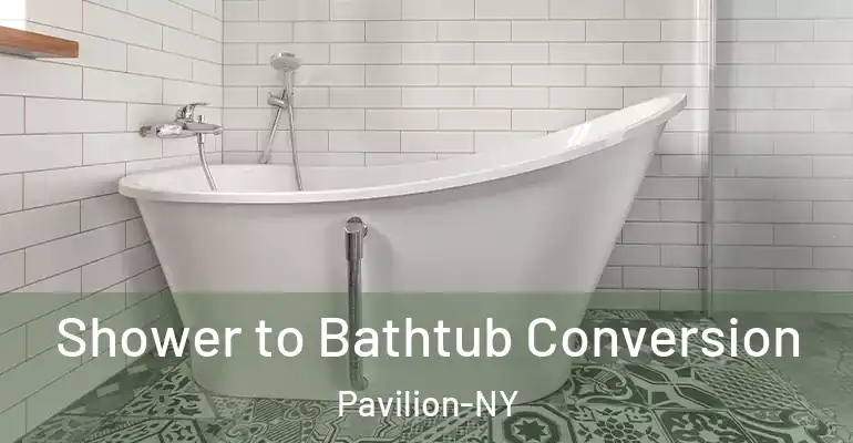 inner Bathroom imggen Shower to Bathtub Conversion Pavilion-NY