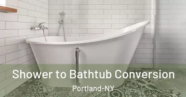 inner Bathroom imggen Shower to Bathtub Conversion Portland-NY