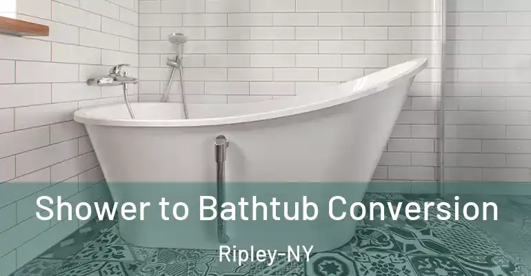 inner Bathroom imggen Shower to Bathtub Conversion Ripley-NY