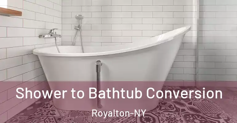 inner Bathroom imggen Shower to Bathtub Conversion Royalton-NY